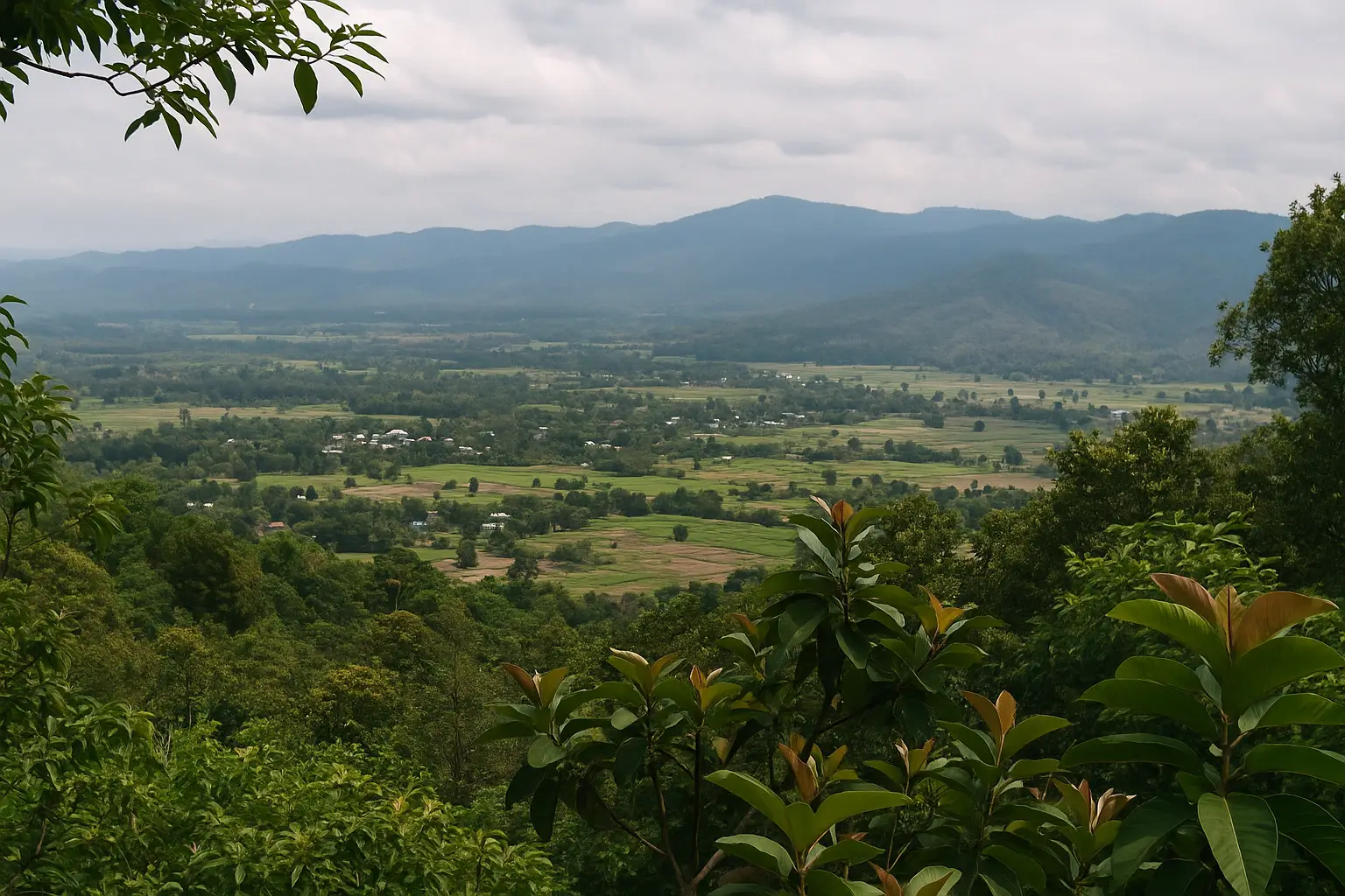 volunteer elephant sanctuary chiang mai