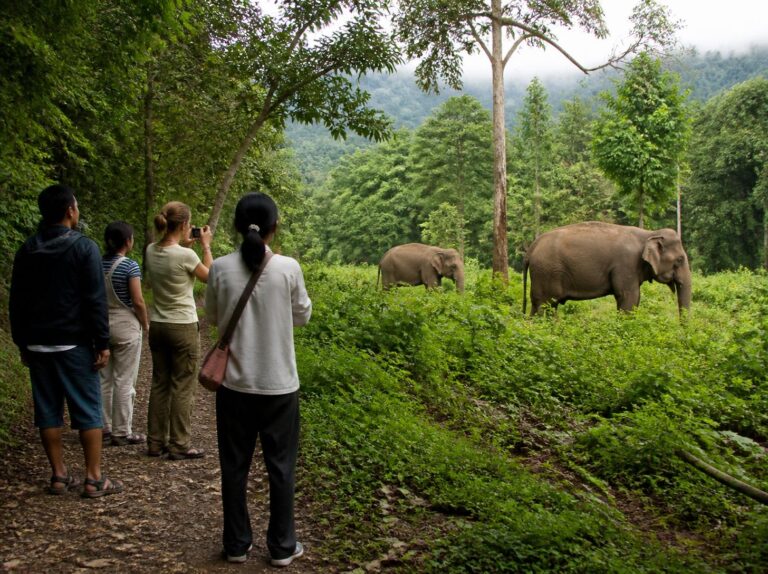 elephant sanctuary etiquette